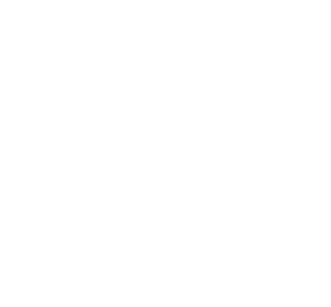 12Proiecte
