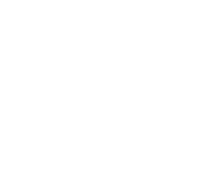 15Ani